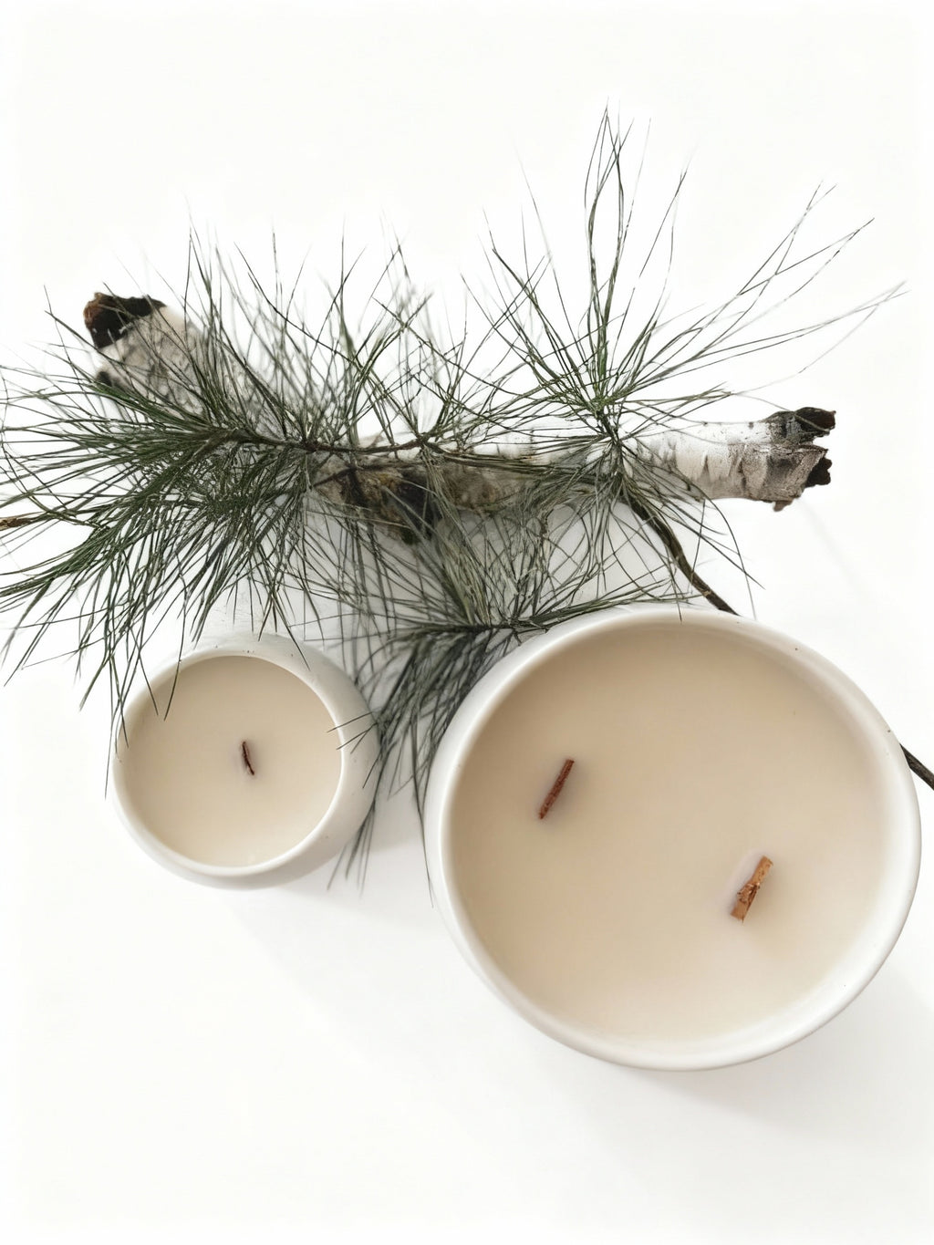 Two candles in white containers with a branch of pine needles and a piece of birch bark on a white background.
